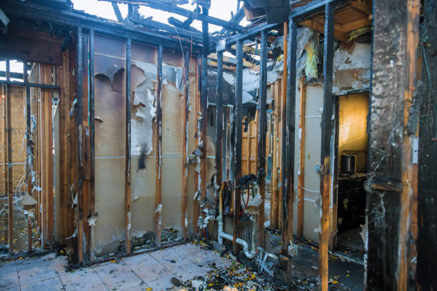 Professional Fire Damage Removal technician working in Carrizo Springs, TX